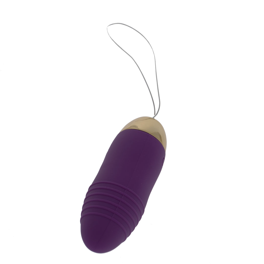 Remote 10 Function Self Pleasure Egg Vibrator