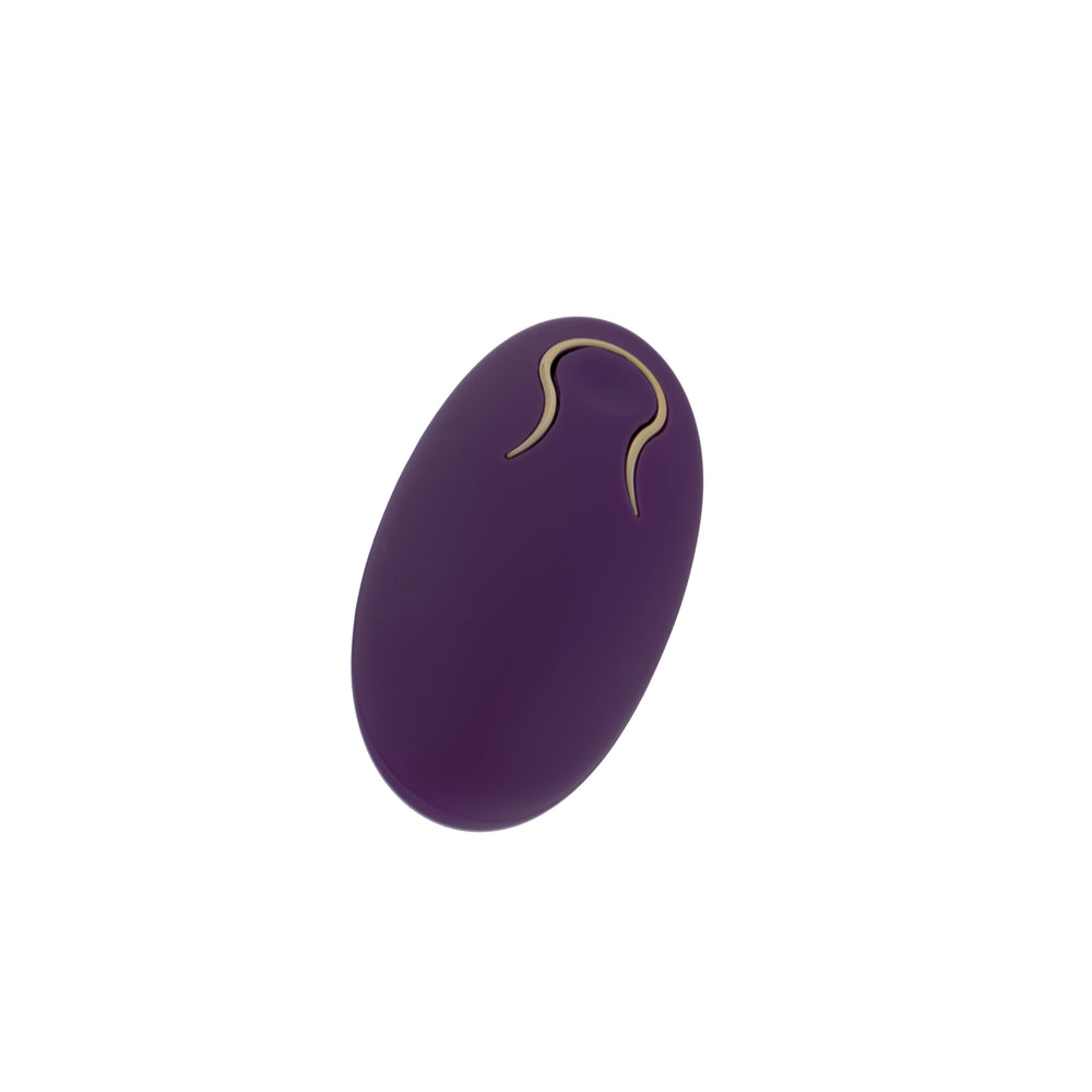 Remote 10 Function Self Pleasure Egg Vibrator