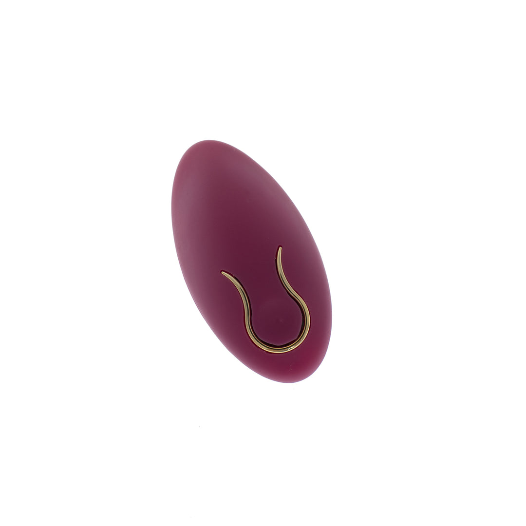 Vibrator remote control