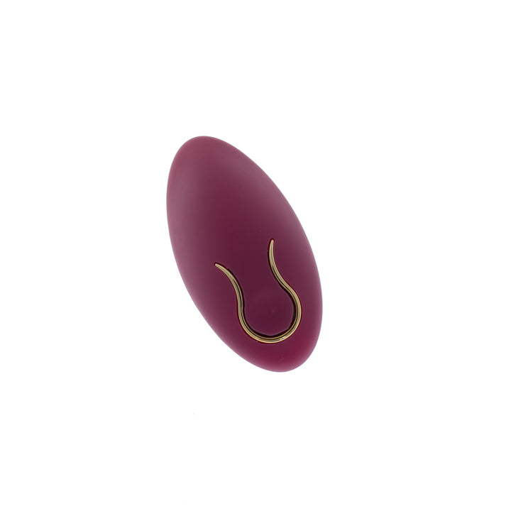 Vibrator remote control