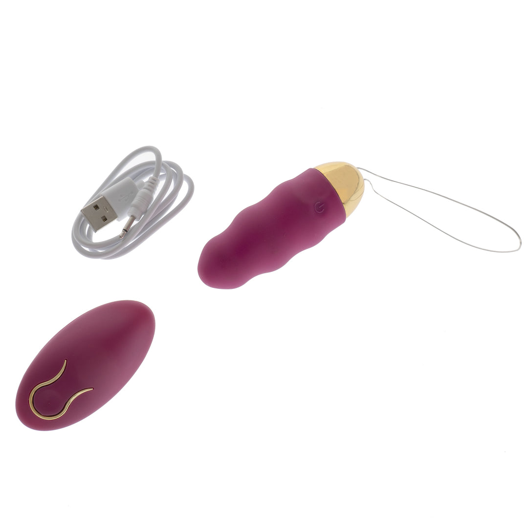 Vibrator remote control