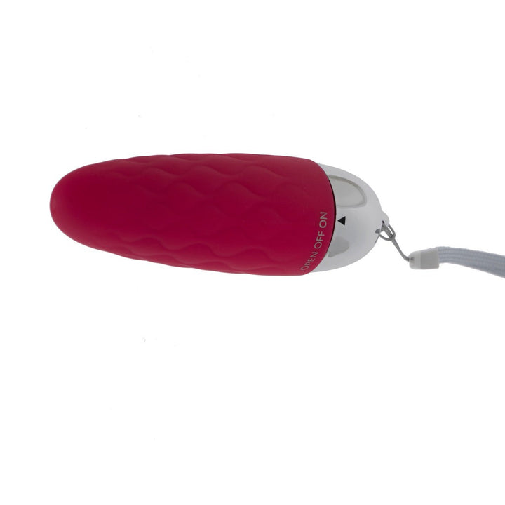 Pleasure Vibe Egg